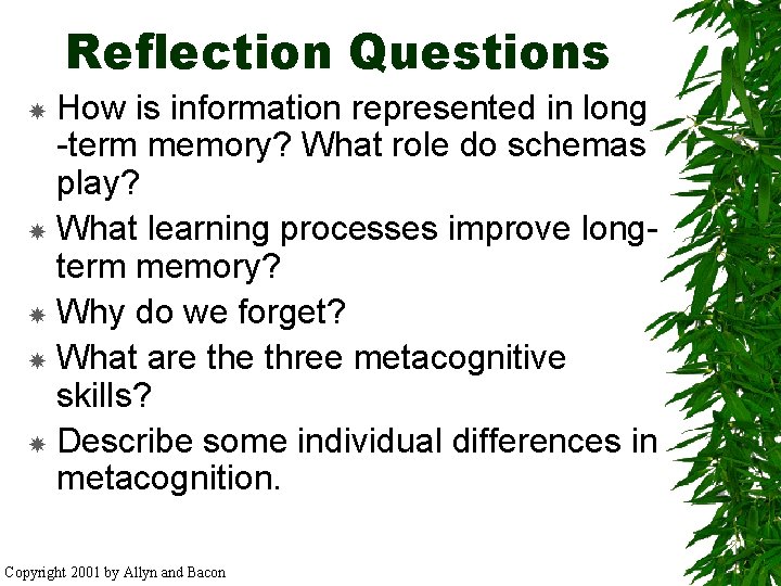 Reflection Questions How is information represented in long -term memory? What role do schemas