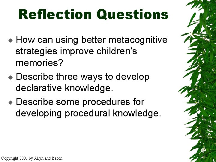 Reflection Questions How can using better metacognitive strategies improve children’s memories? Describe three ways