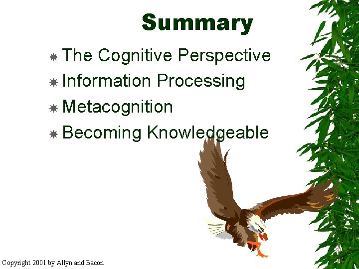 Summary The Cognitive Perspective Information Processing Metacognition Becoming Knowledgeable Copyright 2001 by Allyn and