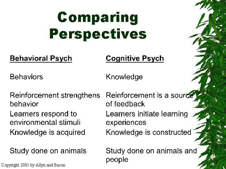 Comparing Perspectives Copyright 2001 by Allyn and Bacon 