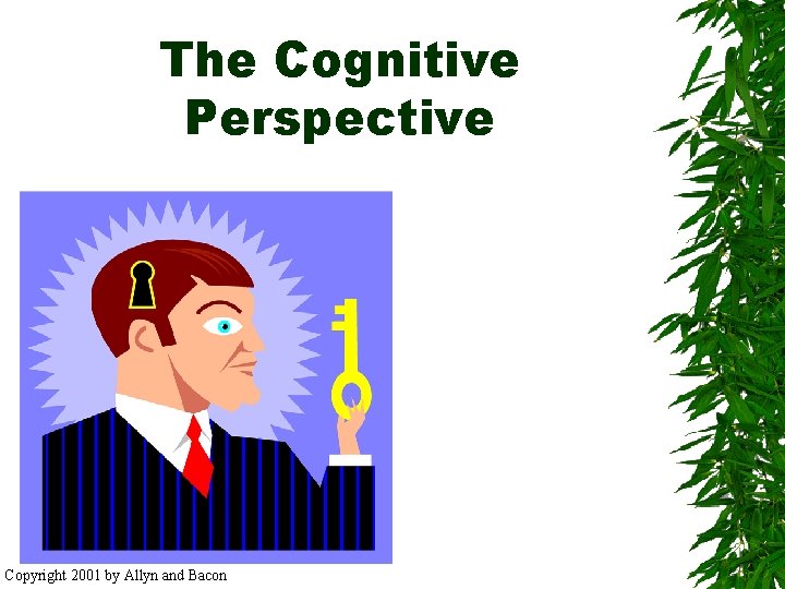 The Cognitive Perspective Copyright 2001 by Allyn and Bacon 