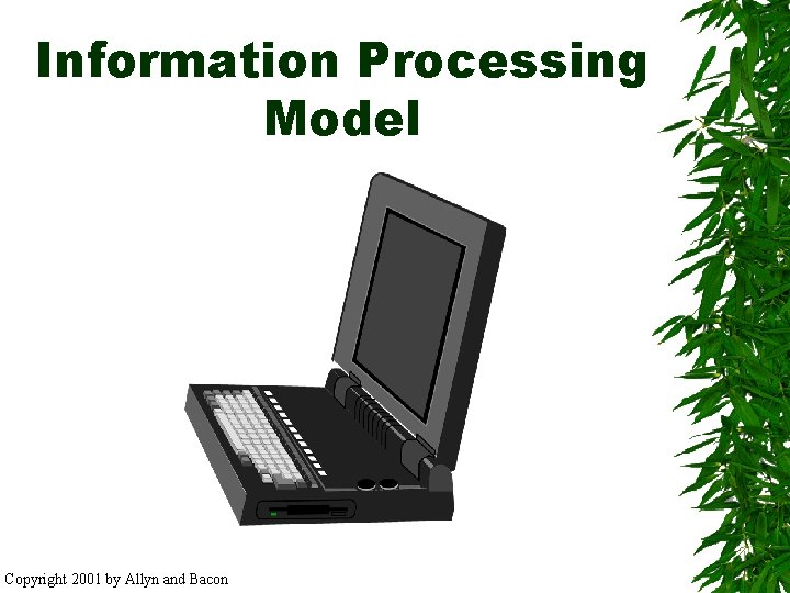 Information Processing Model Copyright 2001 by Allyn and Bacon 