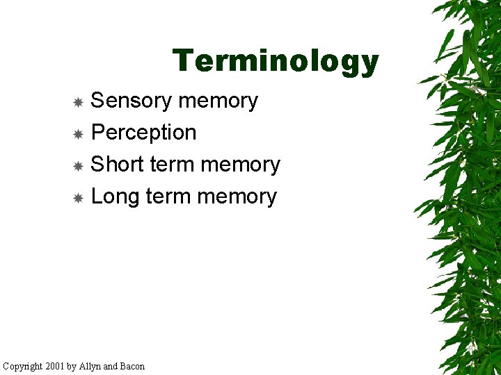 Terminology Sensory memory Perception Short term memory Long term memory Copyright 2001 by Allyn