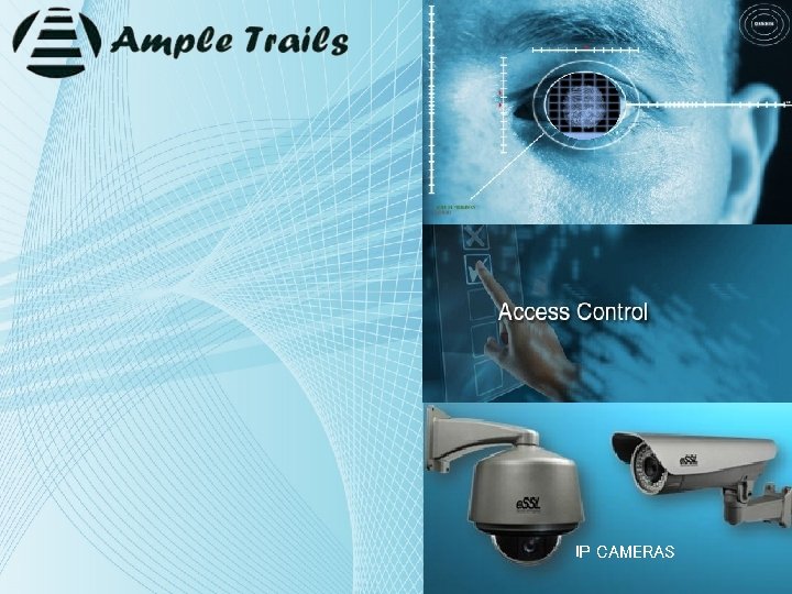 IP CAMERAS 