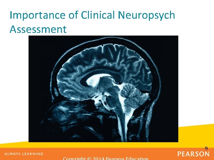 Importance of Clinical Neuropsych Assessment 9 