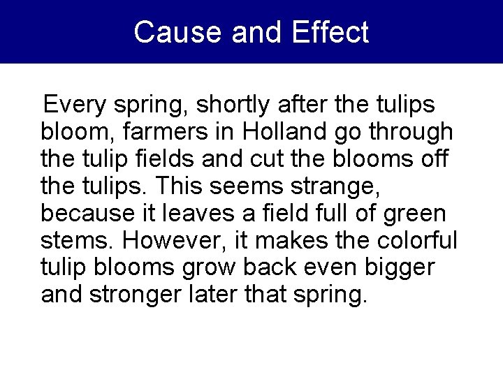 Cause and Effect Every spring, shortly after the tulips bloom, farmers in Holland go