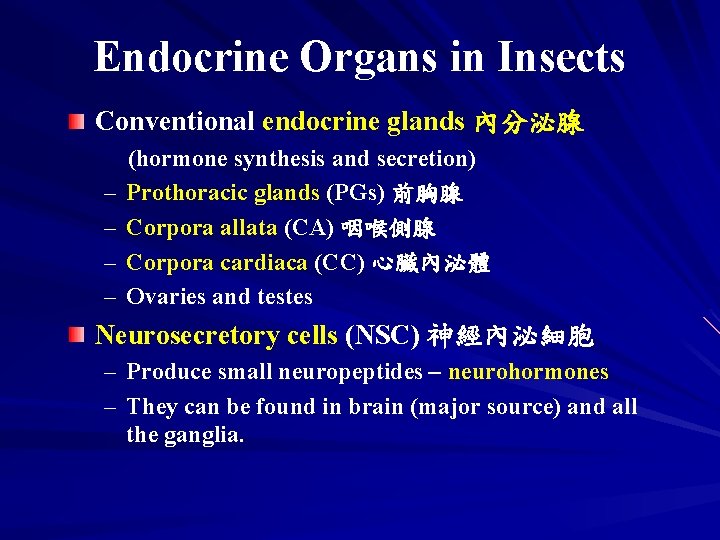Endocrine Organs in Insects Conventional endocrine glands 內分泌腺 – – (hormone synthesis and secretion)