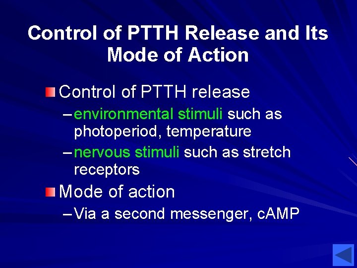 Control of PTTH Release and Its Mode of Action Control of PTTH release –