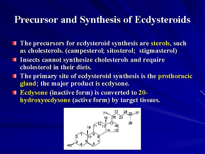 Precursor and Synthesis of Ecdysteroids The precursors for ecdysteroid synthesis are sterols, such as
