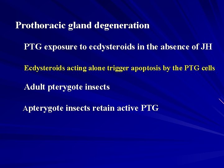 Prothoracic gland degeneration PTG exposure to ecdysteroids in the absence of JH Ecdysteroids acting