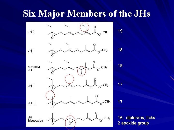 Six Major Members of the JHs 19 18 19 17 17 16; dipterans, ticks