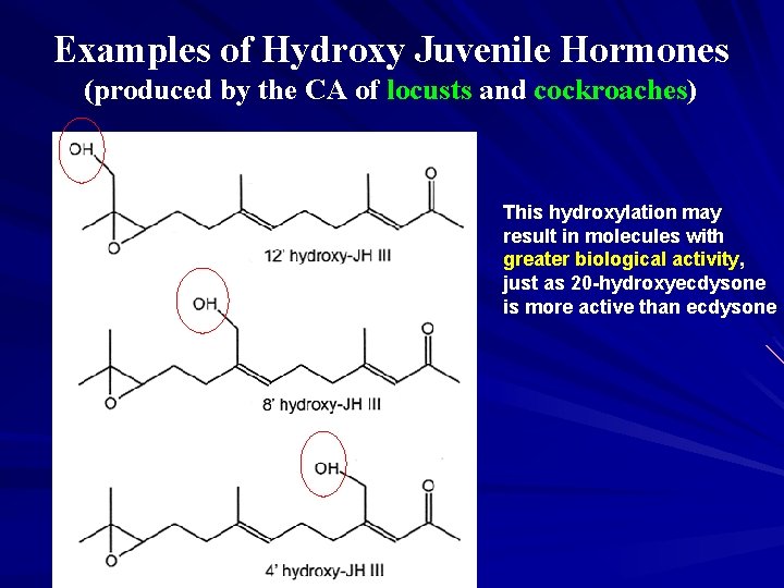 Examples of Hydroxy Juvenile Hormones (produced by the CA of locusts and cockroaches) This
