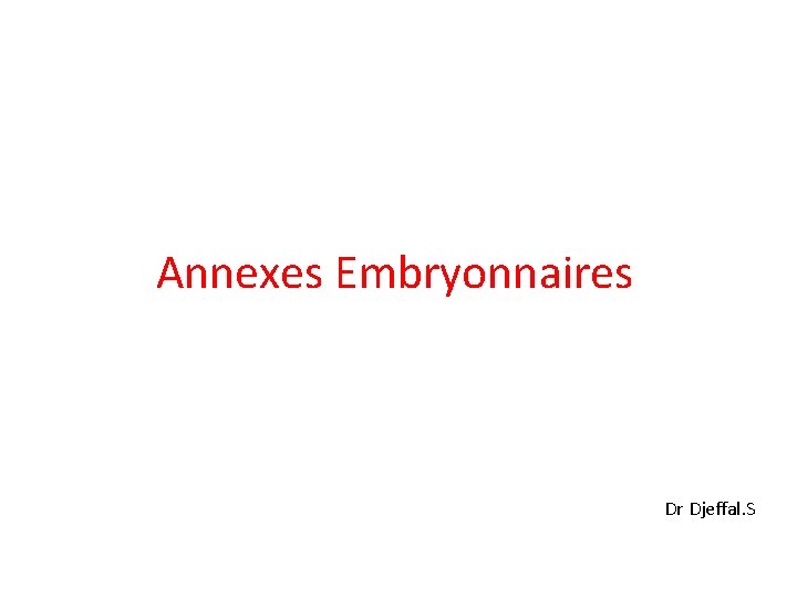 Annexes Embryonnaires Dr Djeffal. S 