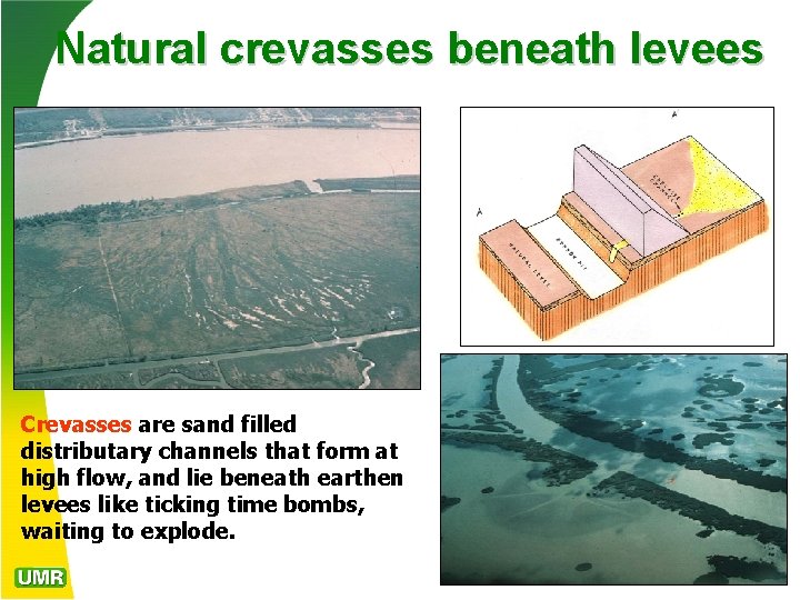 Natural crevasses beneath levees Crevasses are sand filled distributary channels that form at high