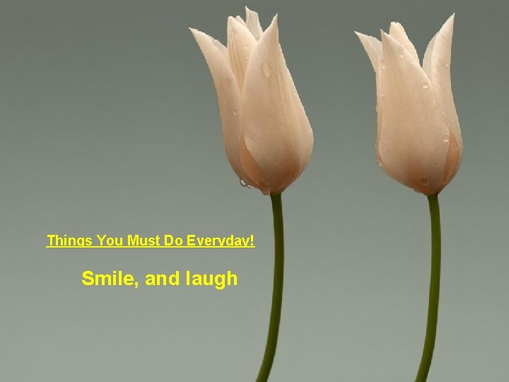 Things You Must Do Everyday! Smile, and laugh 