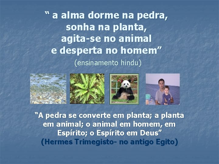 “ a alma dorme na pedra, sonha na planta, agita-se no animal e desperta