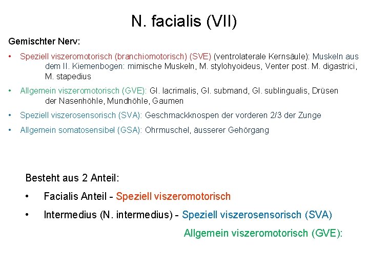 N. facialis (VII) Gemischter Nerv: • Speziell viszeromotorisch (branchiomotorisch) (SVE) (ventrolaterale Kernsäule): Muskeln aus