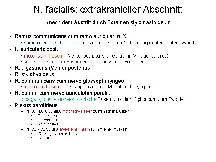 N. facialis: extrakranieller Abschnitt (nach dem Austritt durch Foramen stylomastoideum • Ramus communicans cum