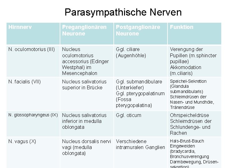 Parasympathische Nerven Hirnnerv Preganglionären Neurone Postganglionäre Neurone Funktion N. oculomotorius (III) Nucleus oculomotorius accessorius