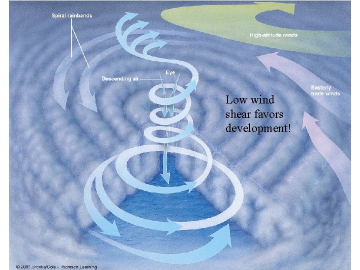 Low wind shear favors development! 