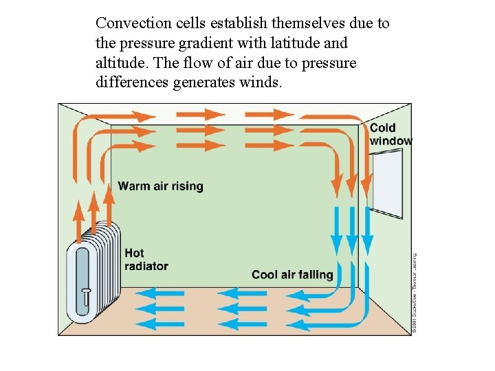 Convection cells establish themselves due to the pressure gradient with latitude and altitude. The