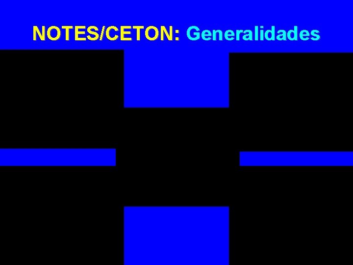 NOTES/CETON: Generalidades 