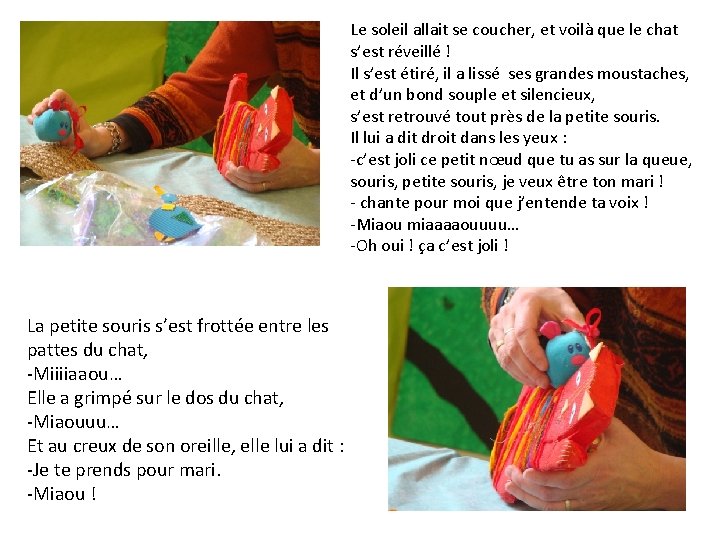 Le soleil allait se coucher, et voilà que le chat s’est réveillé ! Il