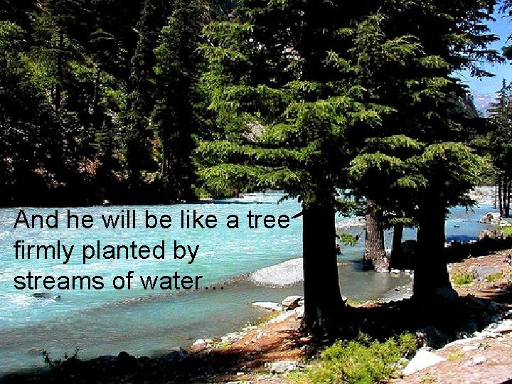 And he will be like a tree firmly planted by streams of water… 