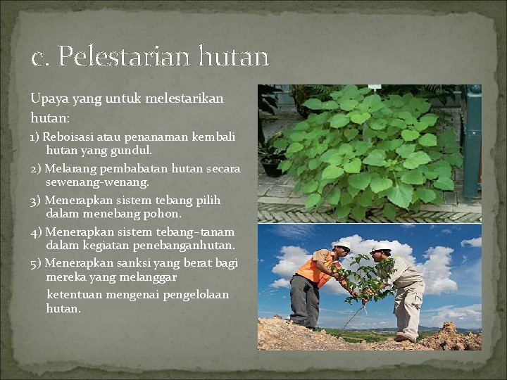 c. Pelestarian hutan Upaya yang untuk melestarikan hutan: 1) Reboisasi atau penanaman kembali hutan