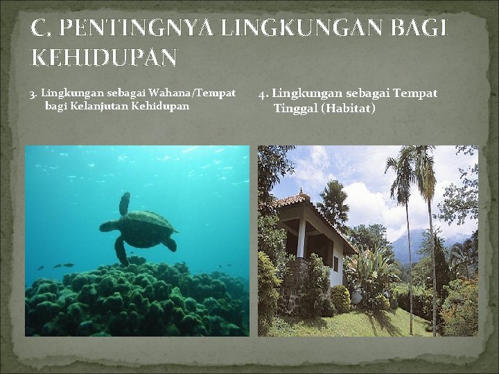 C. PENTINGNYA LINGKUNGAN BAGI KEHIDUPAN 3. Lingkungan sebagai Wahana/Tempat bagi Kelanjutan Kehidupan 4. Lingkungan