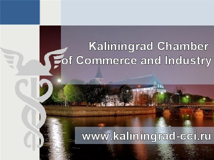 Kaliningrad Chamber of Commerce and Industry www. kaliningrad-cci. ru 