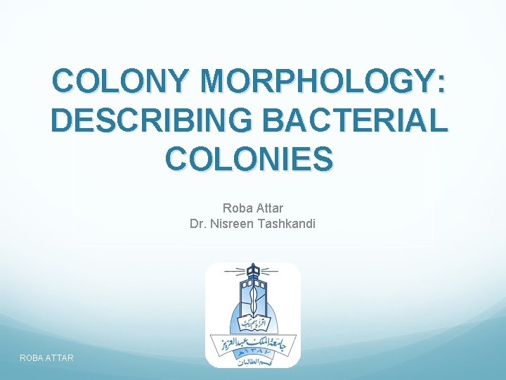 COLONY MORPHOLOGY: DESCRIBING BACTERIAL COLONIES Roba Attar Dr. Nisreen Tashkandi ROBA ATTAR 