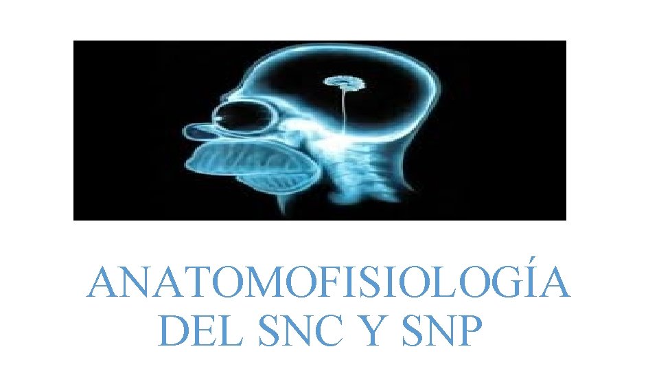 ANATOMOFISIOLOGÍA DEL SNC Y SNP 