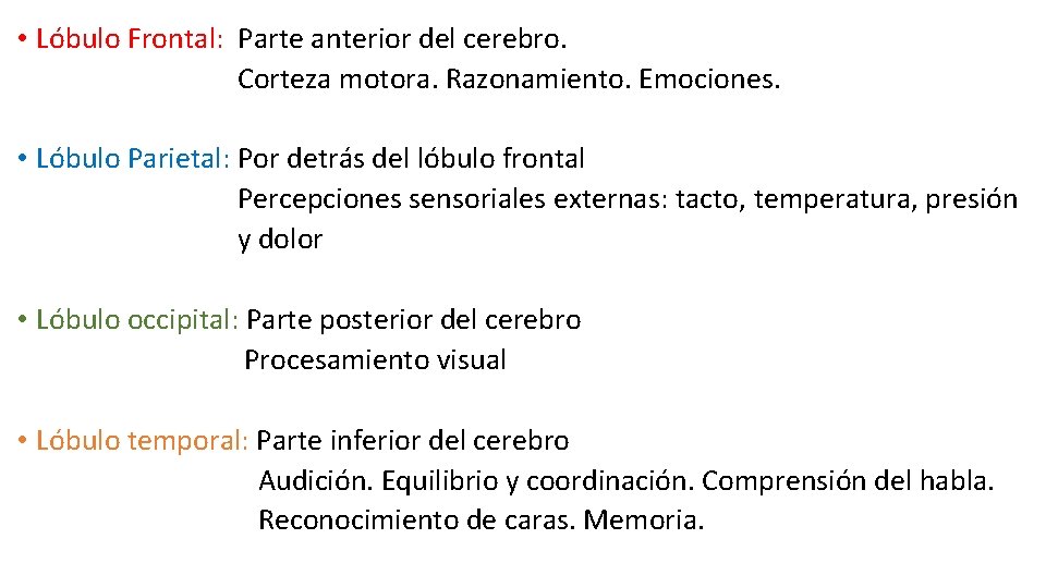  • Lóbulo Frontal: Parte anterior del cerebro. Corteza motora. Razonamiento. Emociones. • Lóbulo