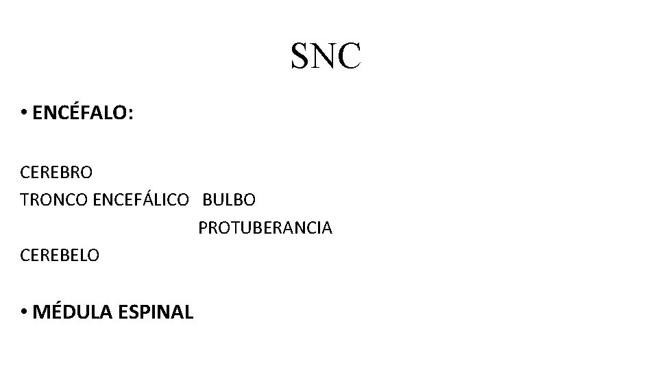 SNC • ENCÉFALO: CEREBRO TRONCO ENCEFÁLICO BULBO PROTUBERANCIA CEREBELO • MÉDULA ESPINAL 