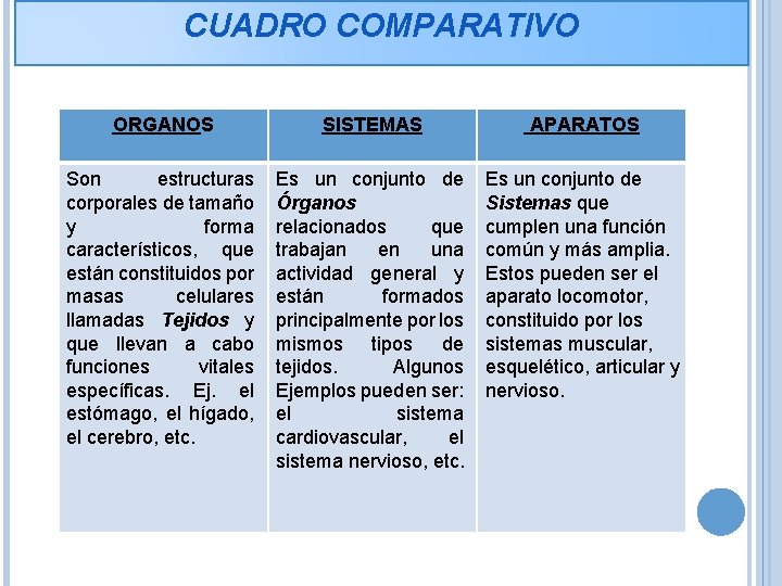 CUADRO COMPARATIVO ORGANOS SISTEMAS APARATOS Son estructuras corporales de tamaño y forma característicos, que