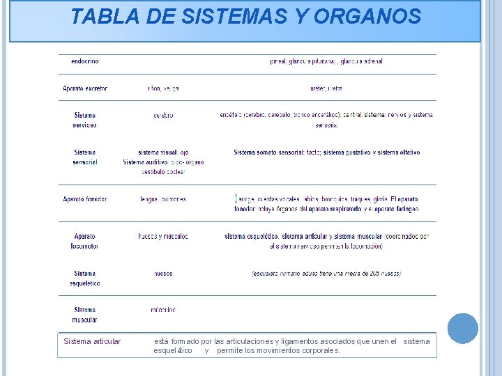 TABLA DE SISTEMAS Y ORGANOS Sistema articular está formado por las articulaciones y ligamentos