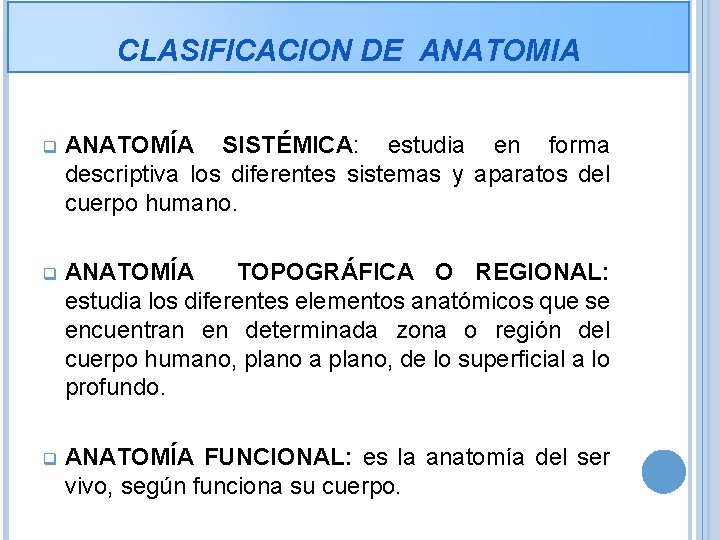 CLASIFICACION DE ANATOMIA q ANATOMÍA SISTÉMICA: estudia en forma descriptiva los diferentes sistemas y