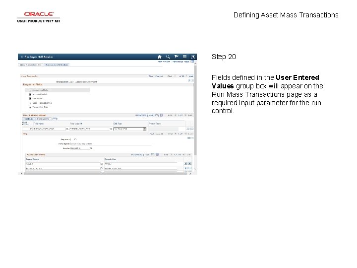 Defining Asset Mass Transactions Step 20 Fields defined in the User Entered Values group