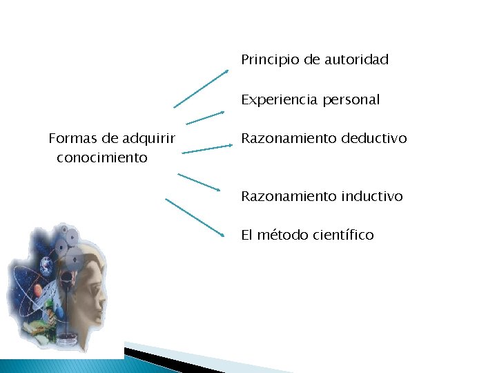 Principio de autoridad Experiencia personal Formas de adquirir conocimiento Razonamiento deductivo Razonamiento inductivo El