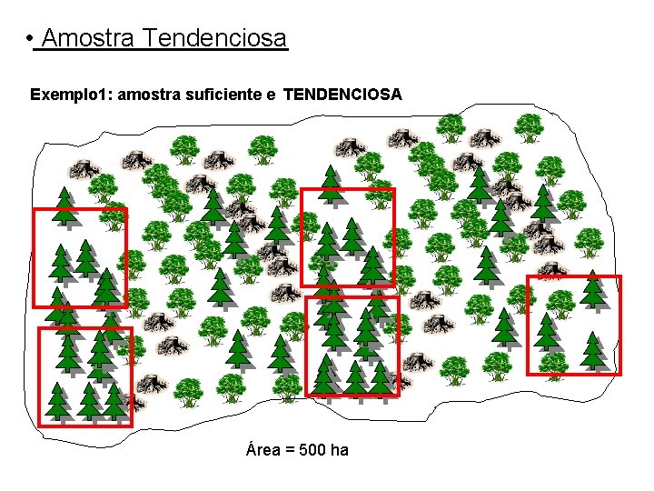  • Amostra Tendenciosa Exemplo 1: amostra suficiente e TENDENCIOSA Área = 500 ha