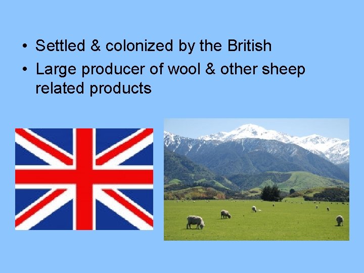  • Settled & colonized by the British • Large producer of wool &