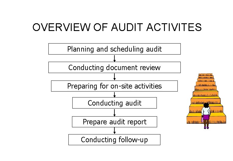 OVERVIEW OF AUDIT ACTIVITES Planning and scheduling audit Conducting document review Preparing for on-site