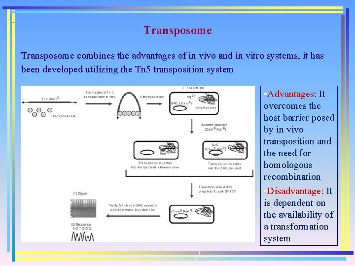 Transposome combines the advantages of in vivo and in vitro systems, it has been