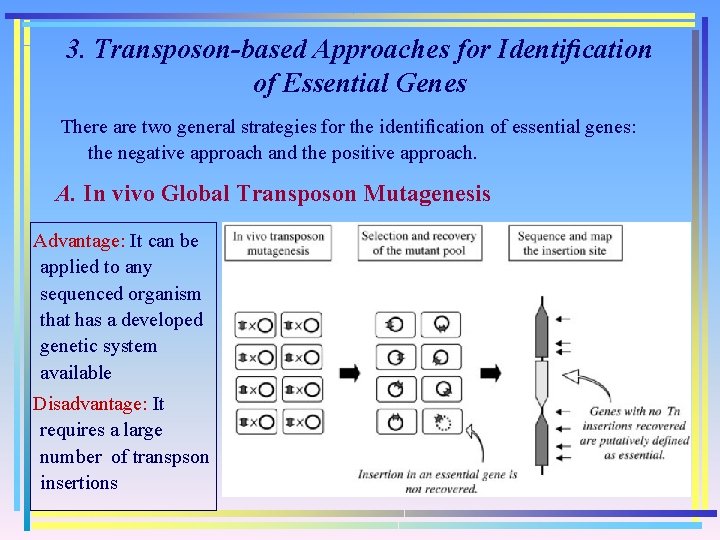 3. Transposon-based Approaches for Identiﬁcation of Essential Genes There are two general strategies for