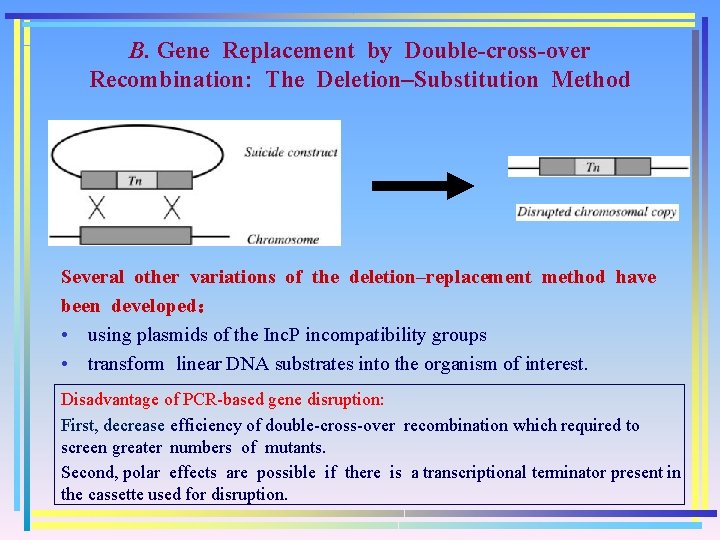 B. Gene Replacement by Double-cross-over Recombination: The Deletion–Substitution Method Several other variations of the