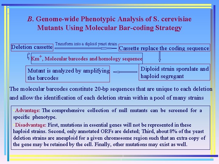 B. Genome-wide Phenotypic Analysis of S. cerevisiae Mutants Using Molecular Bar-coding Strategy Deletion cassette