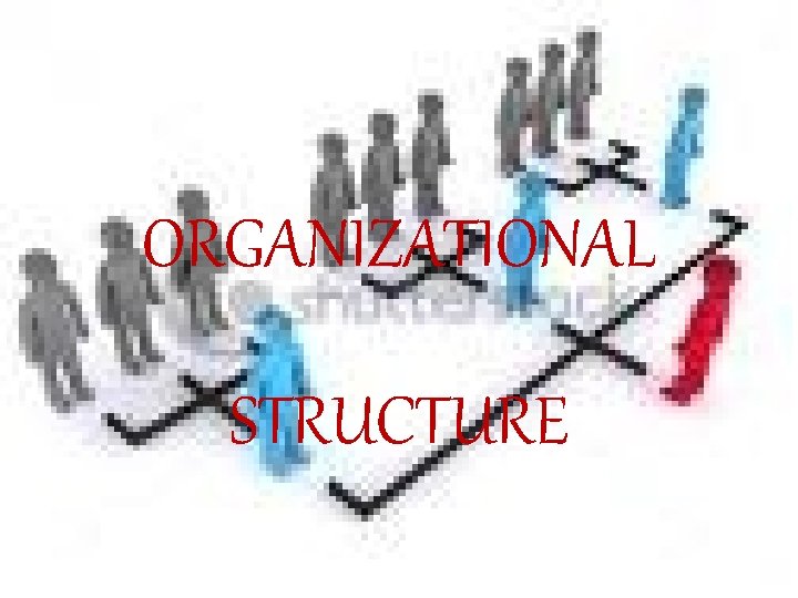 ORGANIZATIONAL STRUCTURE 