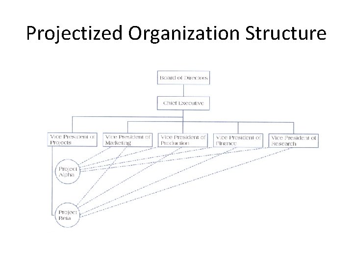 Projectized Organization Structure 