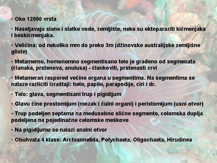  • Oko 12000 vrsta • Naseljavaju slane i slatke vode, zemljište, neke su